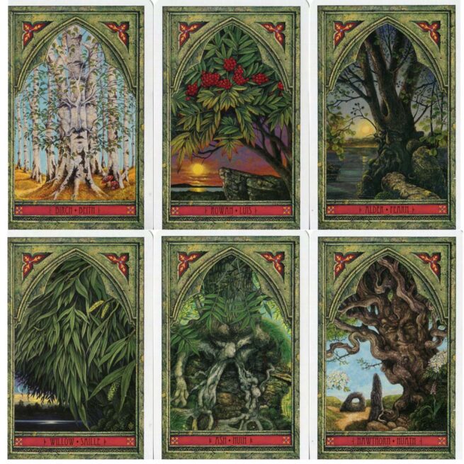 Spirit Of Nature Oracle - Matthews & Worthington - Image 6
