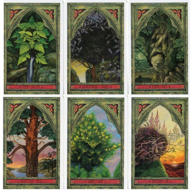 Spirit Of Nature Oracle - Matthews & Worthington - Image 4