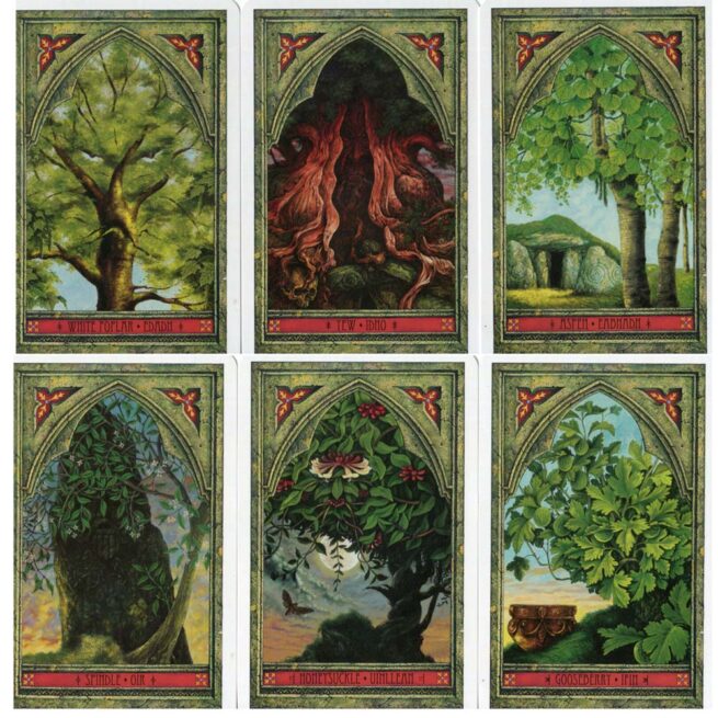 Spirit Of Nature Oracle - Matthews & Worthington - Image 5