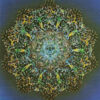 Voyager Tarot - Wanless & Knutson - Image 11