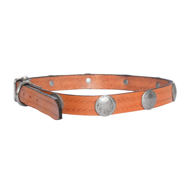 Collier pour Chien Amérindien Traditionnel – Image 2