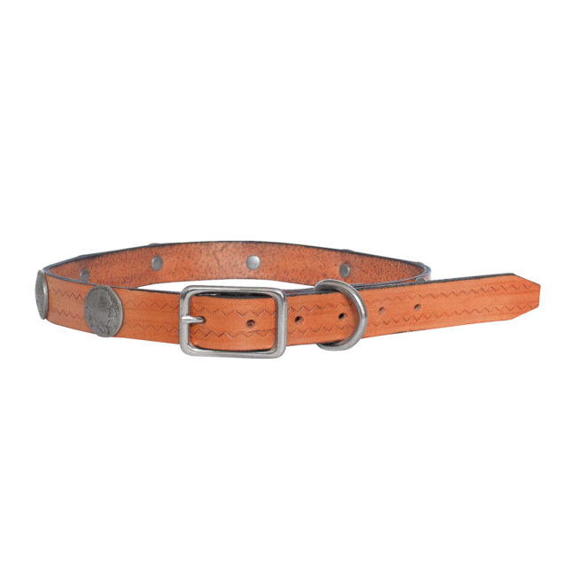 Collier pour Chien Amérindien Traditionnel – Image 4