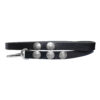 Santo Domingo Black Leather Dog Lead