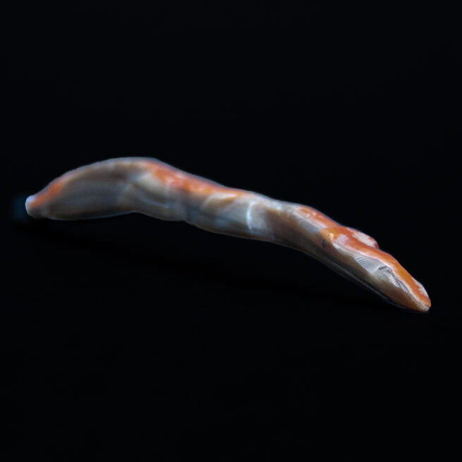 Sculpture Alligator Kenny Chavez – Image 3