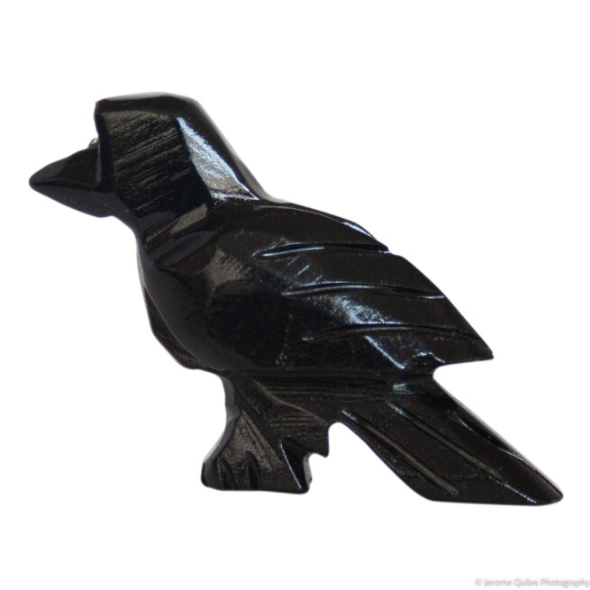 Raven Fetish - Image 2