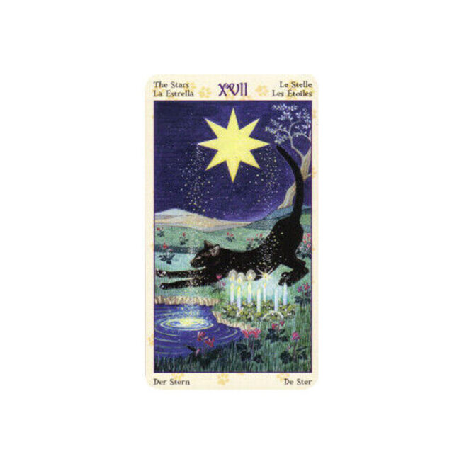 Tarot Of Pagan Cats - Messina & Airaghi – Image 6