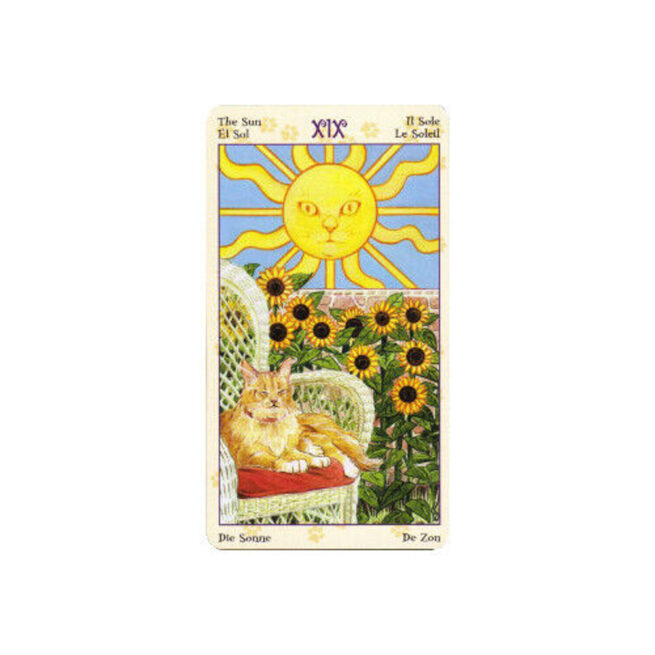 Tarot Of Pagan Cats - Messina & Airaghi – Image 7