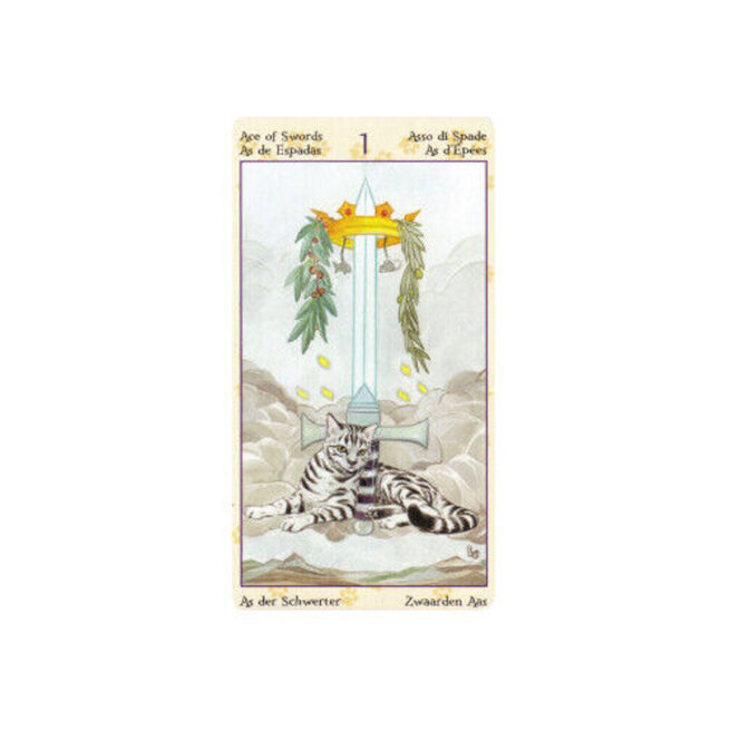Tarot Of Pagan Cats - Messina & Airaghi – Image 8