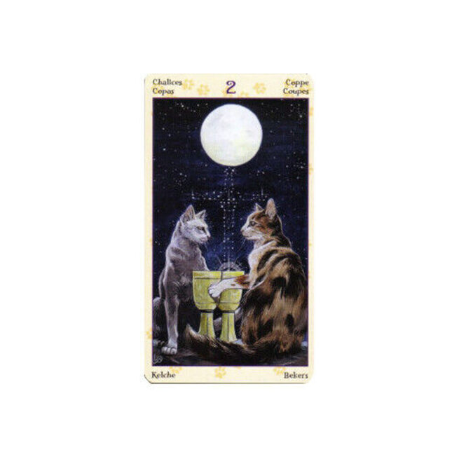Tarot Of Pagan Cats - Messina & Airaghi – Image 9