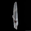 Raw Clear Quartz Point Lemurian Laser - Image 6