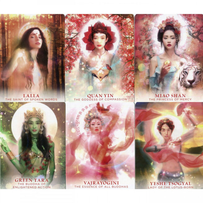 Divine Feminine Oracle Deck - Meggan Watterson - Image 6