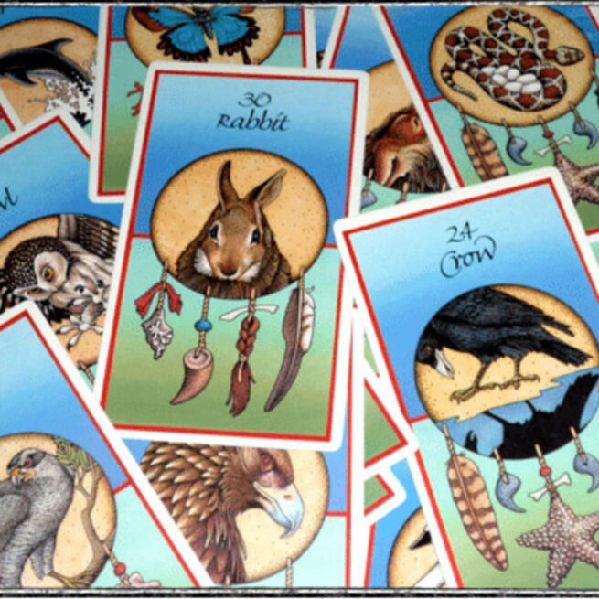 Medicine Cards Set - David Carson - Image 7