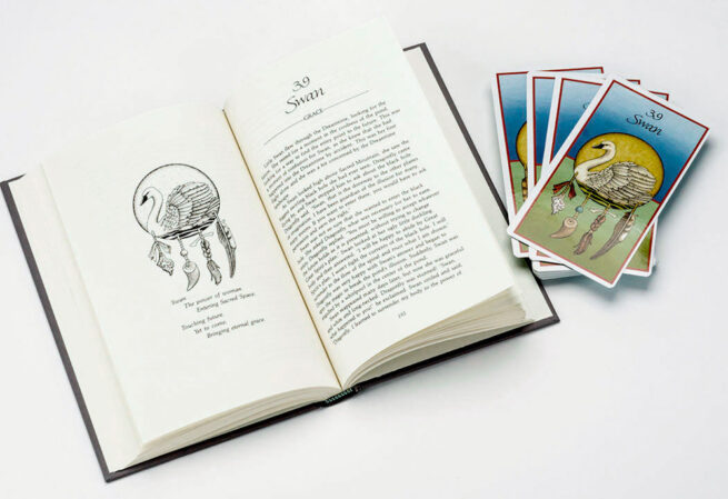 Medicine Cards Set - David Carson - Image 3
