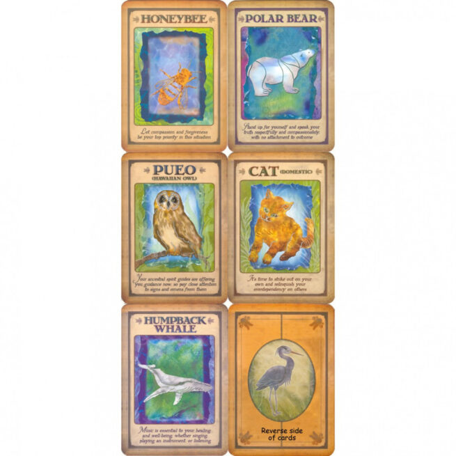 Messages From Your Animal Spirit Guides - Steven Farmer - Image 4