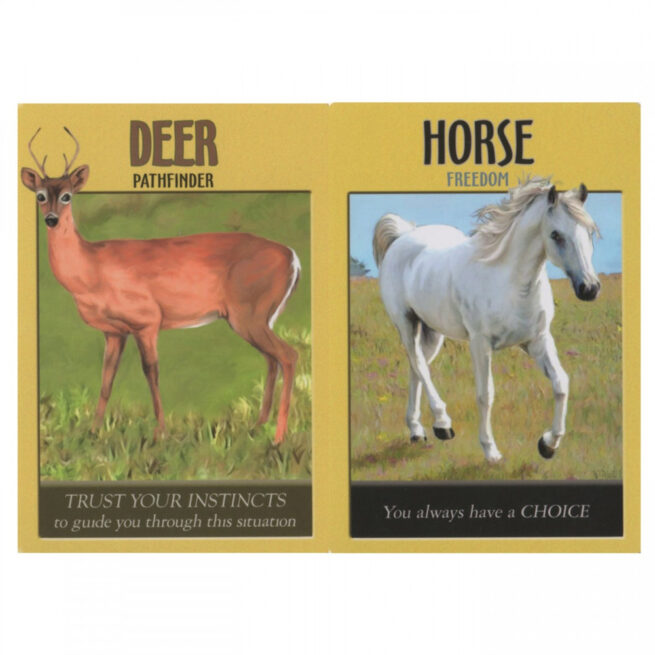Power Animal Oracle Cards - Steven Farmer – Image 5