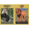 Power Animal Oracle Cards - Steven Farmer - Image 4