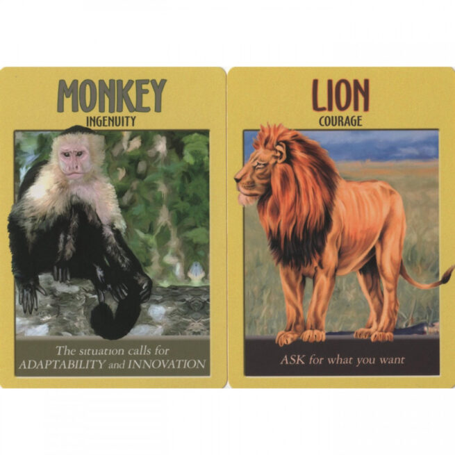 Power Animal Oracle Cards - Steven Farmer – Image 4