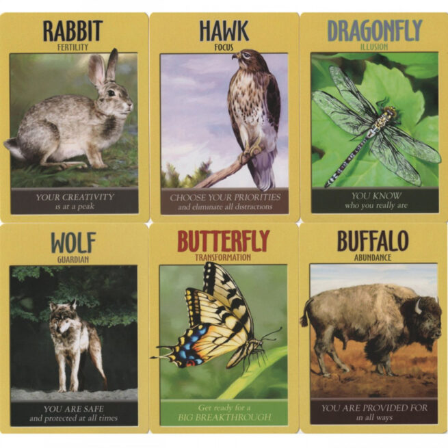 Power Animal Oracle Cards - Steven Farmer – Image 3