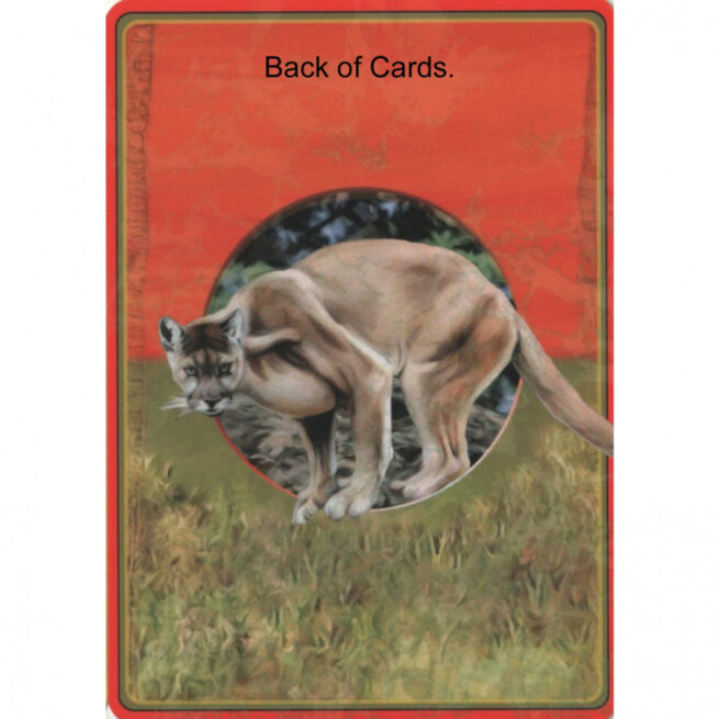 Power Animal Oracle Cards - Steven Farmer – Image 6