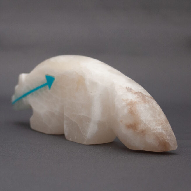 Sculpture Loup Albâtre Turquoise – Image 6