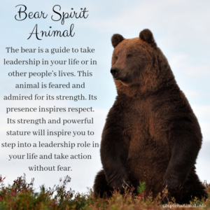 Bear Spirit Animal