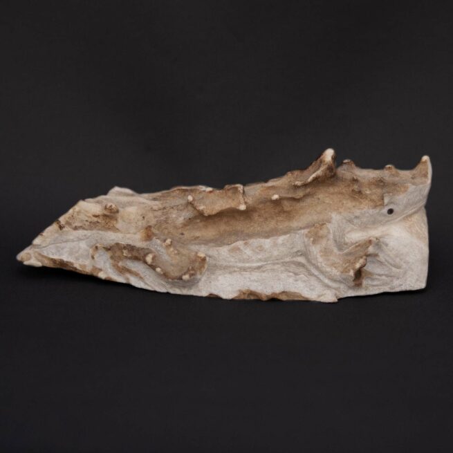 Max Laate Deer Antler Horned Lizard Carving - Image 2