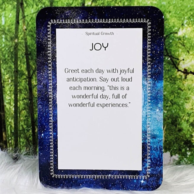 Attracting Abundance - Jane Struthers - Image 12