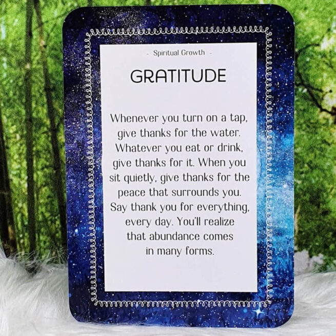 Attracting Abundance - Jane Struthers - Image 9