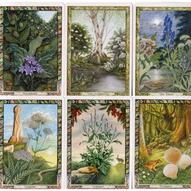 Druid Plant Oracle - Carr-Gomm - Image 5
