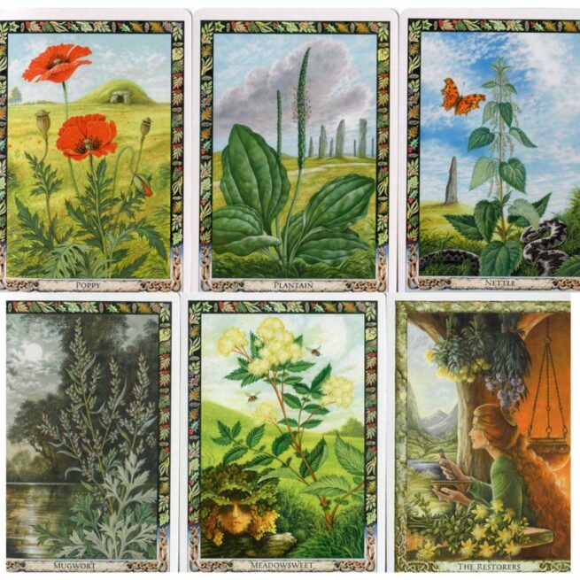 Druid Plant Oracle - Carr-Gomm - Image 6