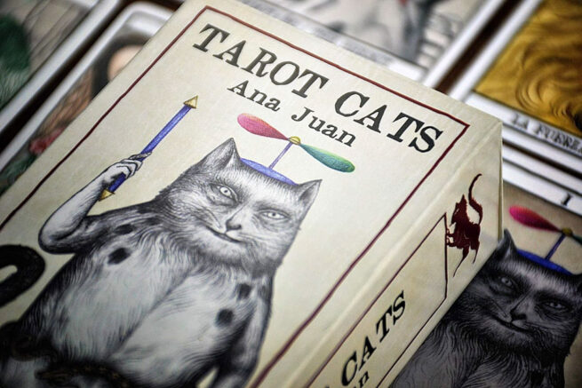 Tarot Cats - Ana Juan - Image 5