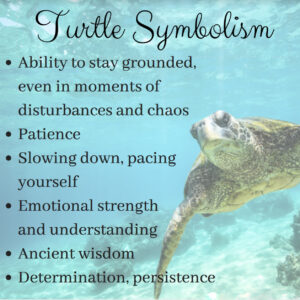 Turtle Spirit Animal