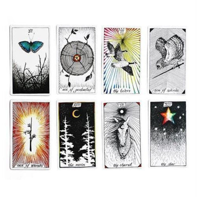 Wild Unknown Tarot - Kim Krans - Image 6