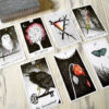 Wild Unknown Tarot - Kim Krans - Image 7
