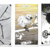 Wild Unknown Tarot - Kim Krans - Image 10