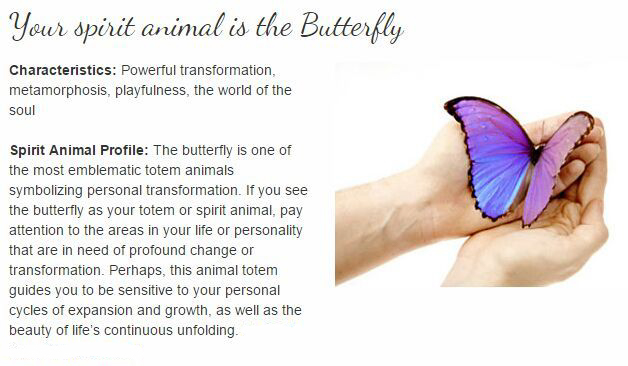 Papillon Animal Spirituel