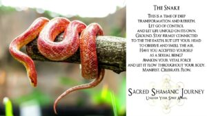 Animal Totem Serpent