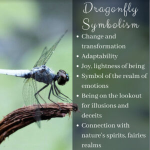 Dragonfly Spirit Animal