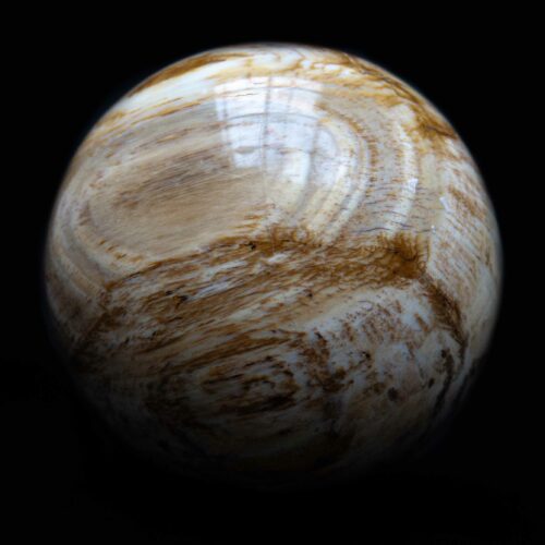 Fossilised Wood Crystal Ball