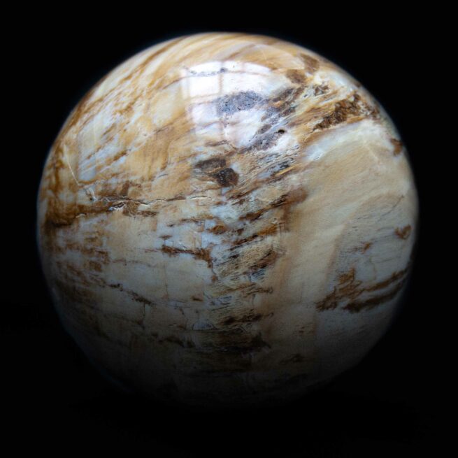 Fossilised Wood Crystal Ball - Image 2