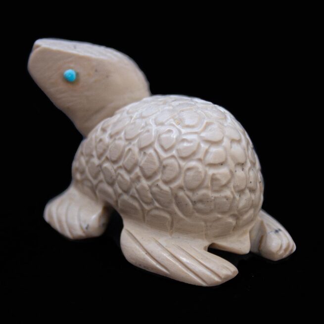 Petite Tortue Beige – Image 3