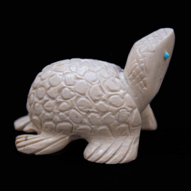 Petite Tortue Beige – Image 2