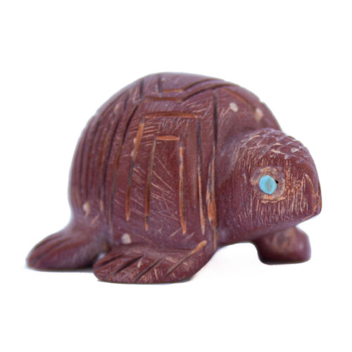 Petite Tortue Marron