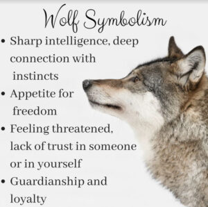 Wolf Spirit Animal