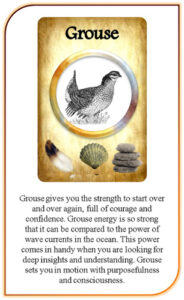 Grouse Spirit Animal