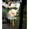 Emperor Gong - Image 2