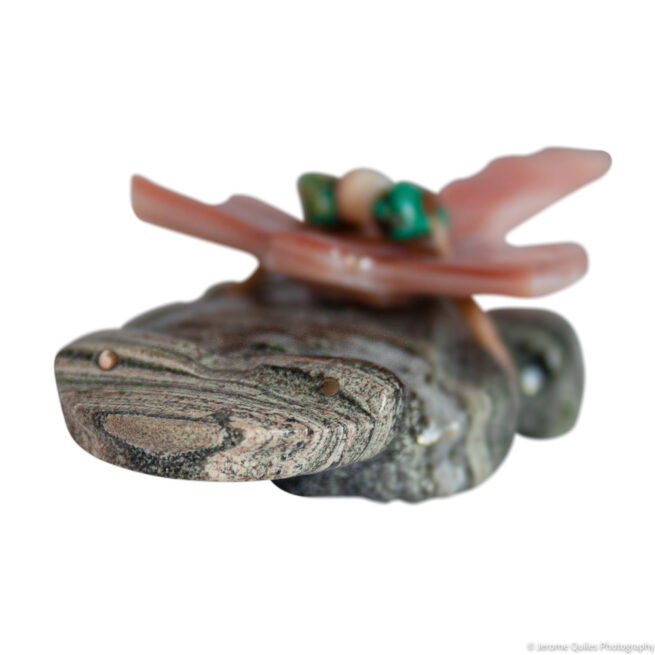 Frog Dragonfly Zuni Carving