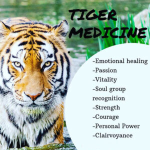 Tigre Animal Spirituel