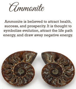 Ammonite Properties