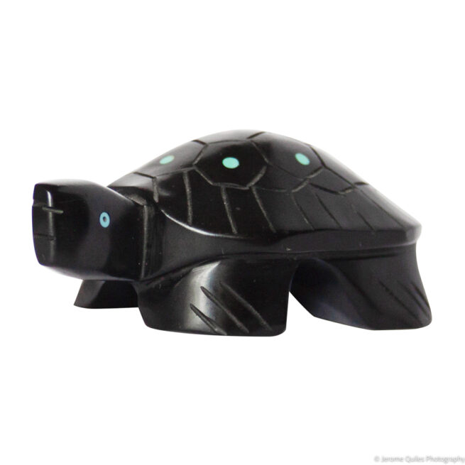 Black Turtle Zuni Carving - Image 3